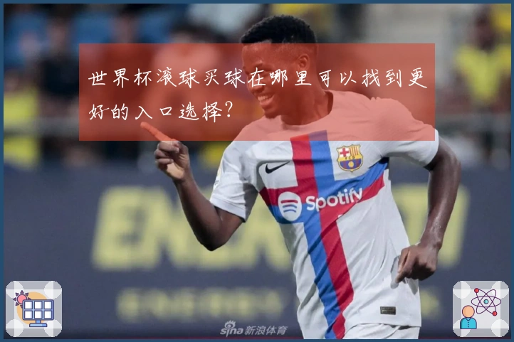 世界杯滚球买球在哪里可以找到更好的入口选择？