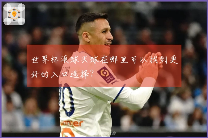 世界杯滚球买球在哪里可以找到更好的入口选择？