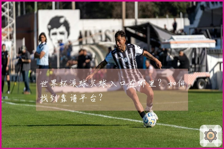 世界杯滚球买球入口在哪里？如何找到靠谱平台？