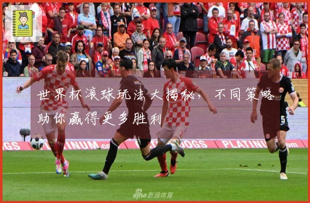 世界杯滚球玩法大揭秘，不同策略助你赢得更多胜利