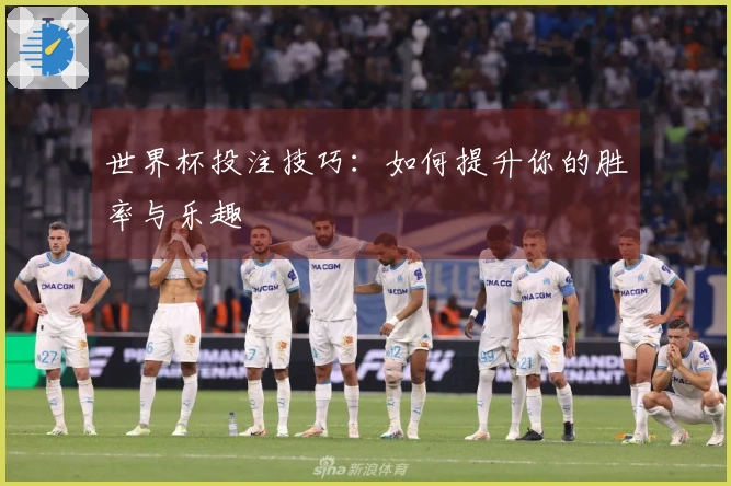 世界杯投注技巧：如何提升你的胜率与乐趣